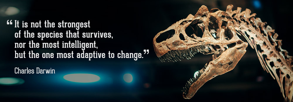 The evolution of business and customers